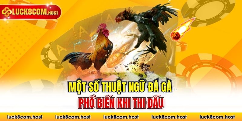 Một số thuật ngữ đá gà phổ biến khi thi đấu